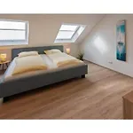 Luettje Steern Holiday home *